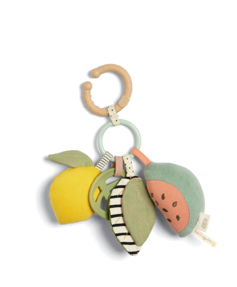 Activity Linkie Toy - Fruit