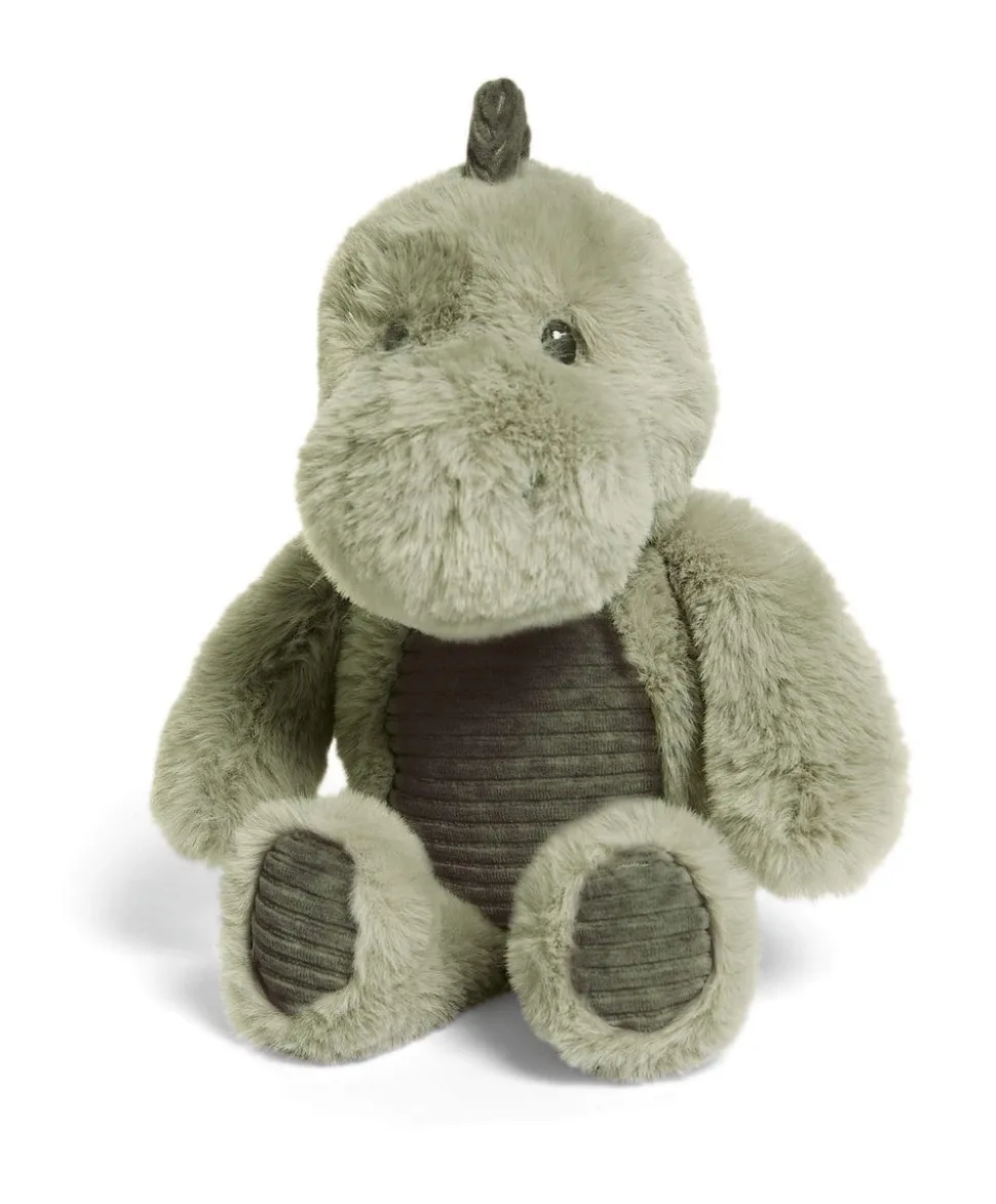 Bathtime Dinosaur - Medium Gift Box