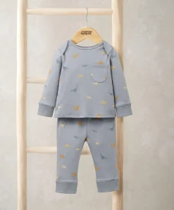Bedtime Dinosaur Gift Box