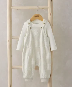 Dungarees & Bodysuit Outfit Set - Teddy Bear