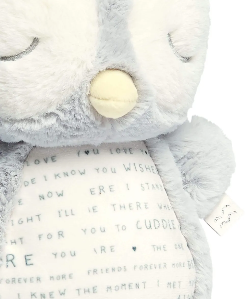Light & Sounds Sensory Toy - Owlbie