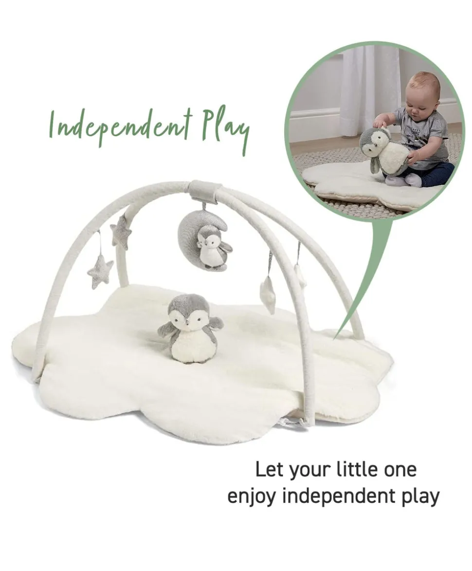 Playmat & Gym - Wish Upon A Cloud
