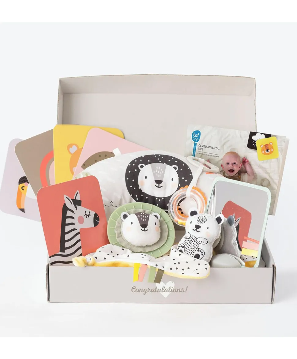 Taf Toys - Newborn Kit