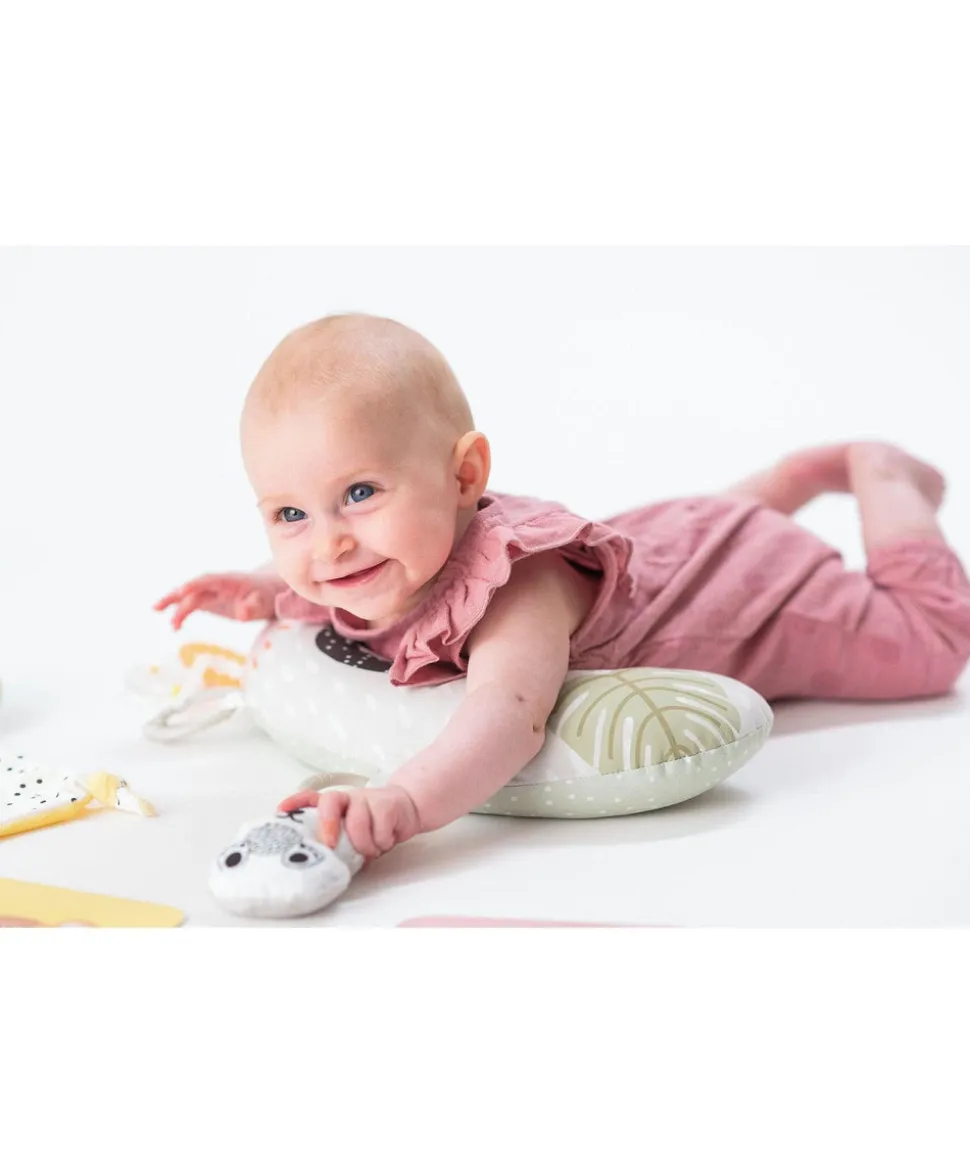 Taf Toys - Newborn Kit