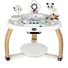 Tiny Love 5-in-1 Here I Grow Activity Center