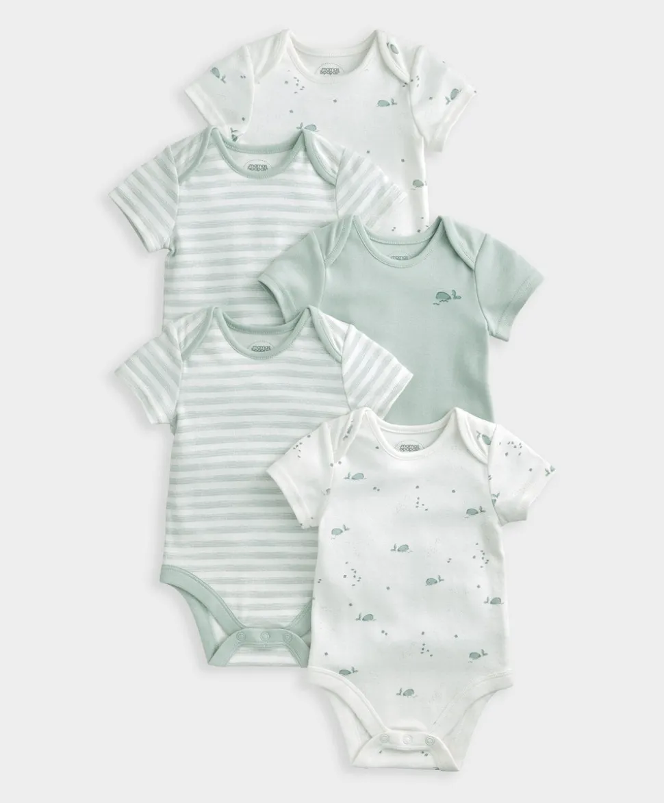 Whale Short Sleeve Bodysuits (Set of 5)